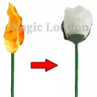 Flame to Rose Torch to Rose Fire to Rose Flame to Flower Fire Torch to Flower