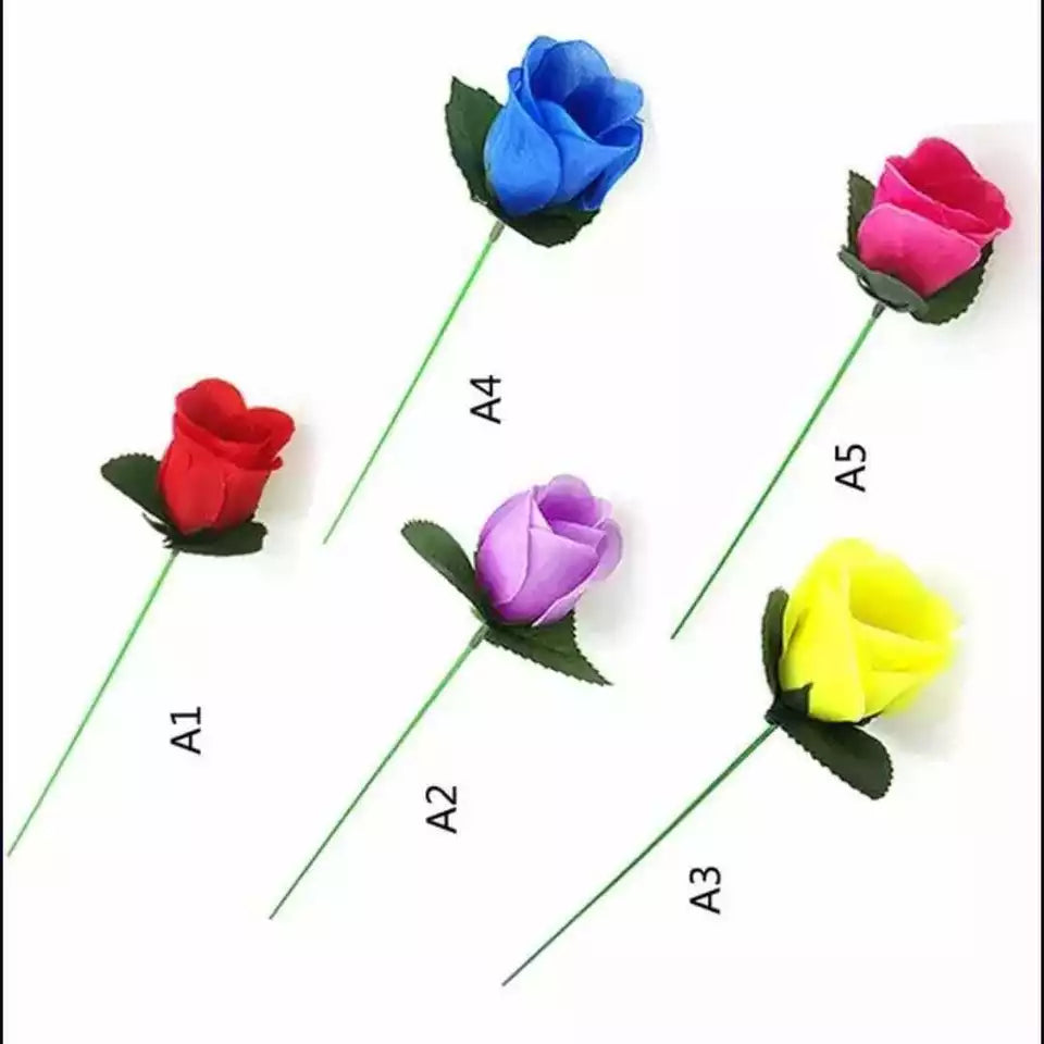 Flame to Rose Torch to Rose Fire to Rose Flame to Flower Fire Torch to Flower