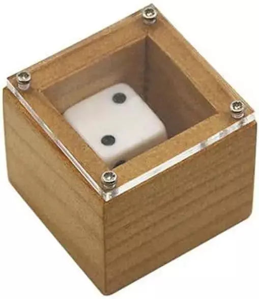 BrilliantMagic Predicting Magic Show Dice in The Box Dot Number Change