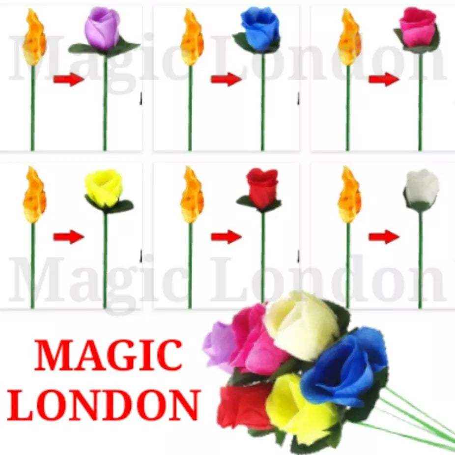 Flame to Rose Torch to Rose Fire to Rose Flame to Flower Fire Torch to Flower