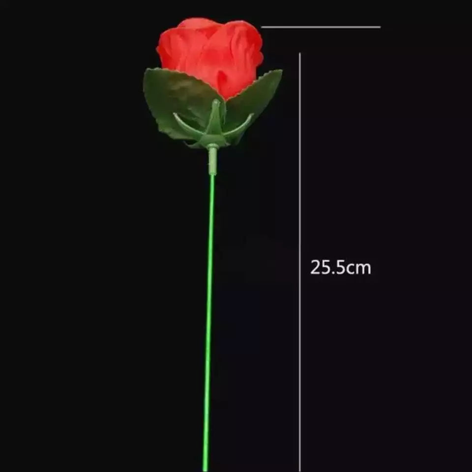 Flame to Rose Torch to Rose Fire to Rose Flame to Flower Fire Torch to Flower