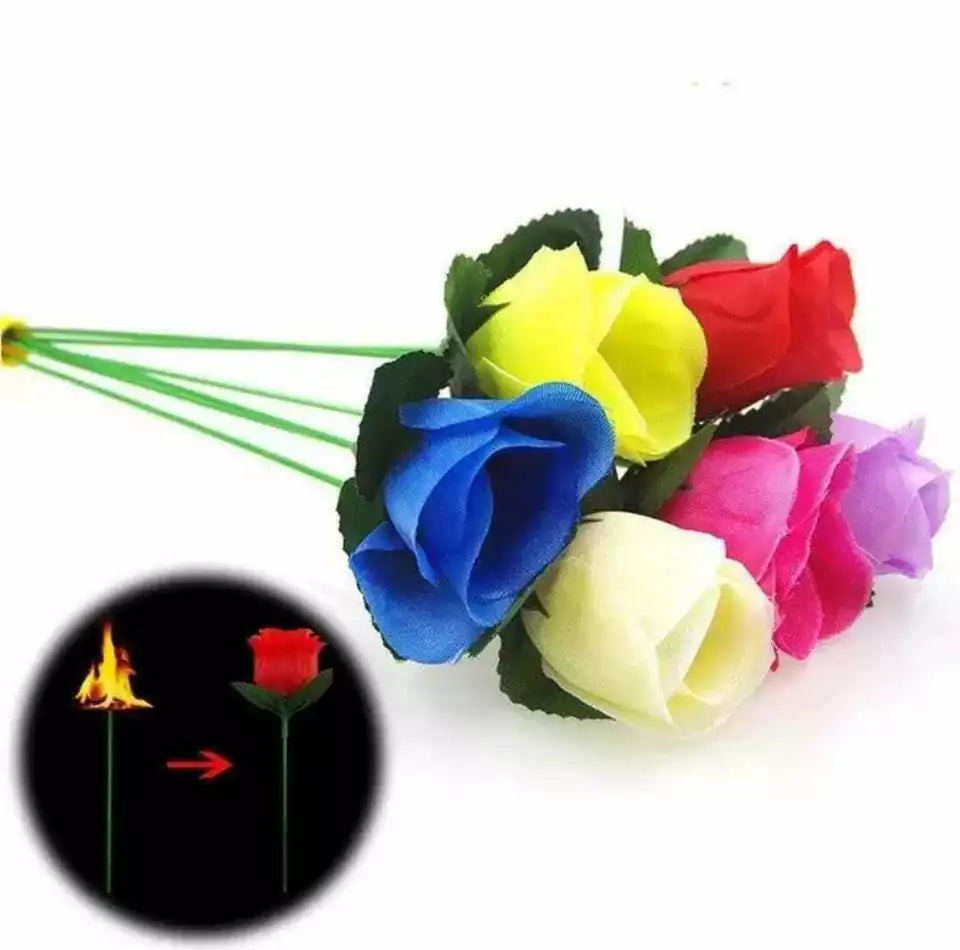 Flame to Rose Torch to Rose Fire to Rose Flame to Flower Fire Torch to Flower