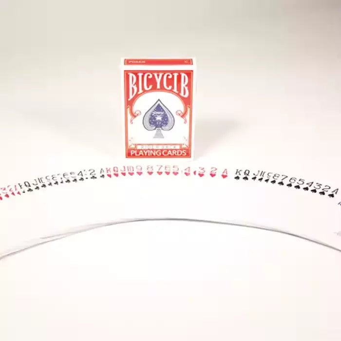 BrilliantMagic Stripper Card Magic Playing Deck Trick Prop Toy Set Card Trick