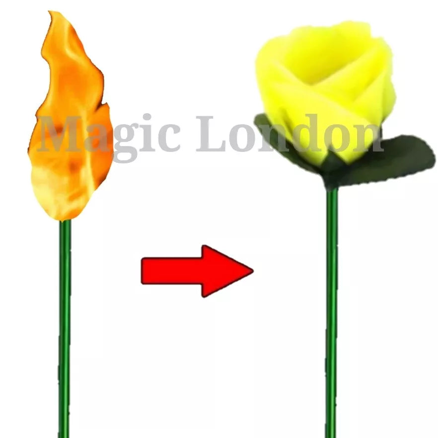 Flame to Rose Torch to Rose Fire to Rose Flame to Flower Fire Torch to Flower