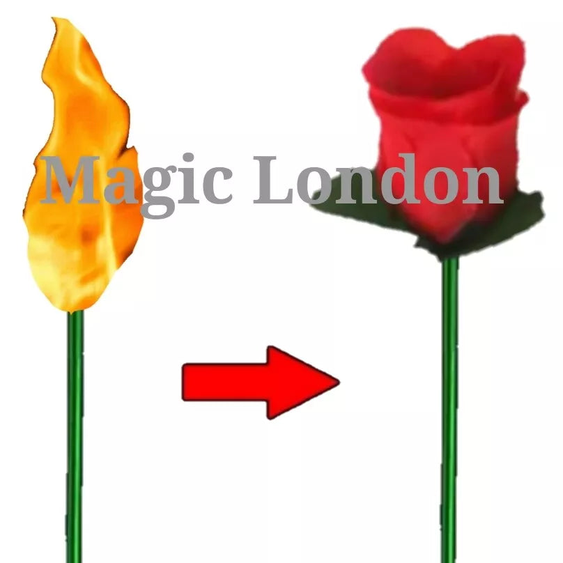 Flame to Rose Torch to Rose Fire to Rose Flame to Flower Fire Torch to Flower