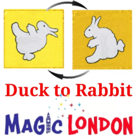 45×45 Cm Brilliant Magic Miracle Magic Illusion Duck To Rabbit Scarf Cloth Trick