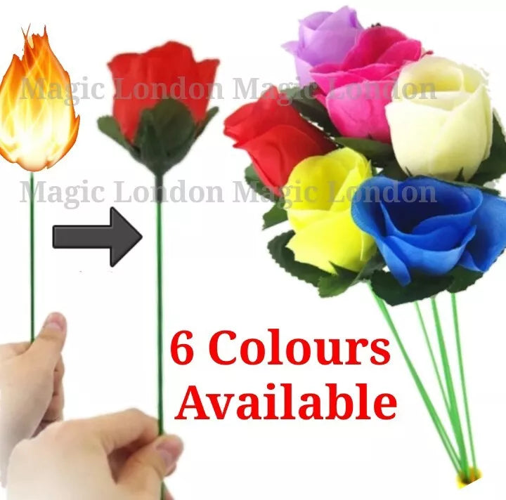 Flame to Rose Torch to Rose Fire to Rose Flame to Flower Fire Torch to Flower