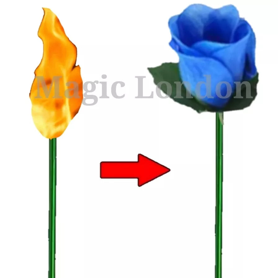 Flame to Rose Torch to Rose Fire to Rose Flame to Flower Fire Torch to Flower