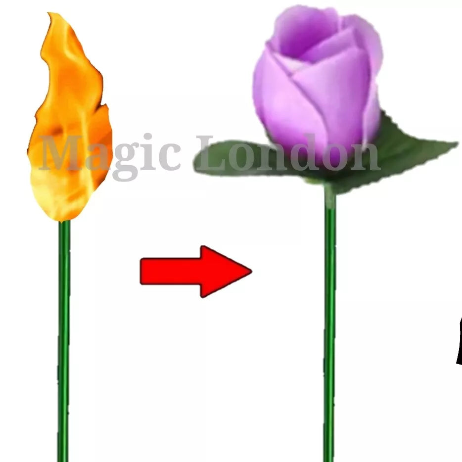 Flame to Rose Torch to Rose Fire to Rose Flame to Flower Fire Torch to Flower