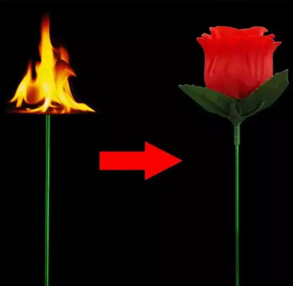 Flame to Rose Torch to Rose Fire to Rose Flame to Flower Fire Torch to Flower
