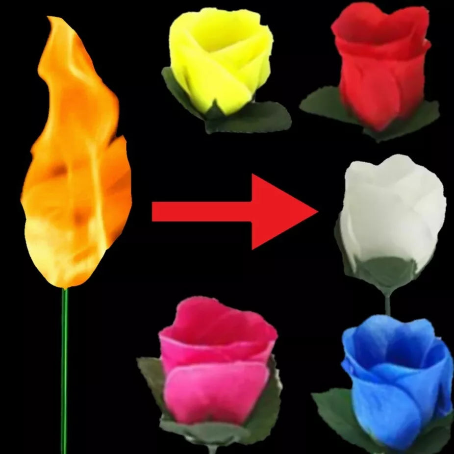 Flame to Rose Torch to Rose Fire to Rose Flame to Flower Fire Torch to Flower
