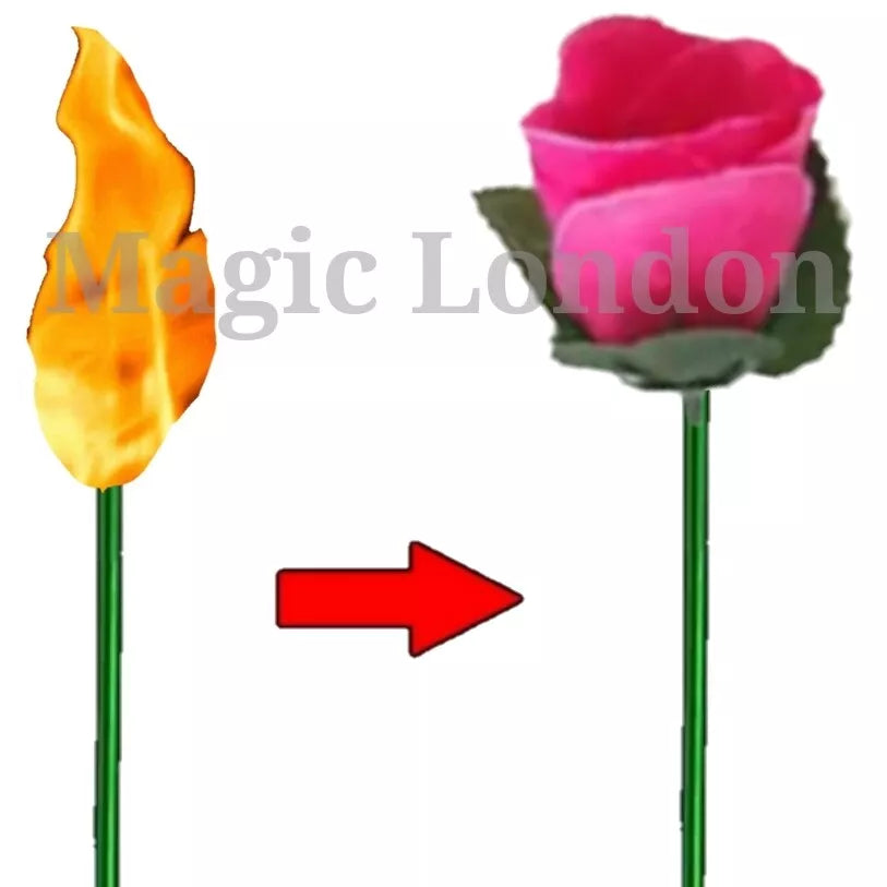 Flame to Rose Torch to Rose Fire to Rose Flame to Flower Fire Torch to Flower