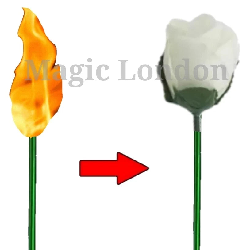 Flame to Rose Torch to Rose Fire to Rose Flame to Flower Fire Torch to Flower
